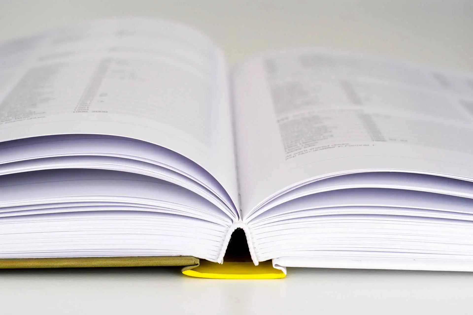 Dr. Lars Fischer - publizistische Erfolge