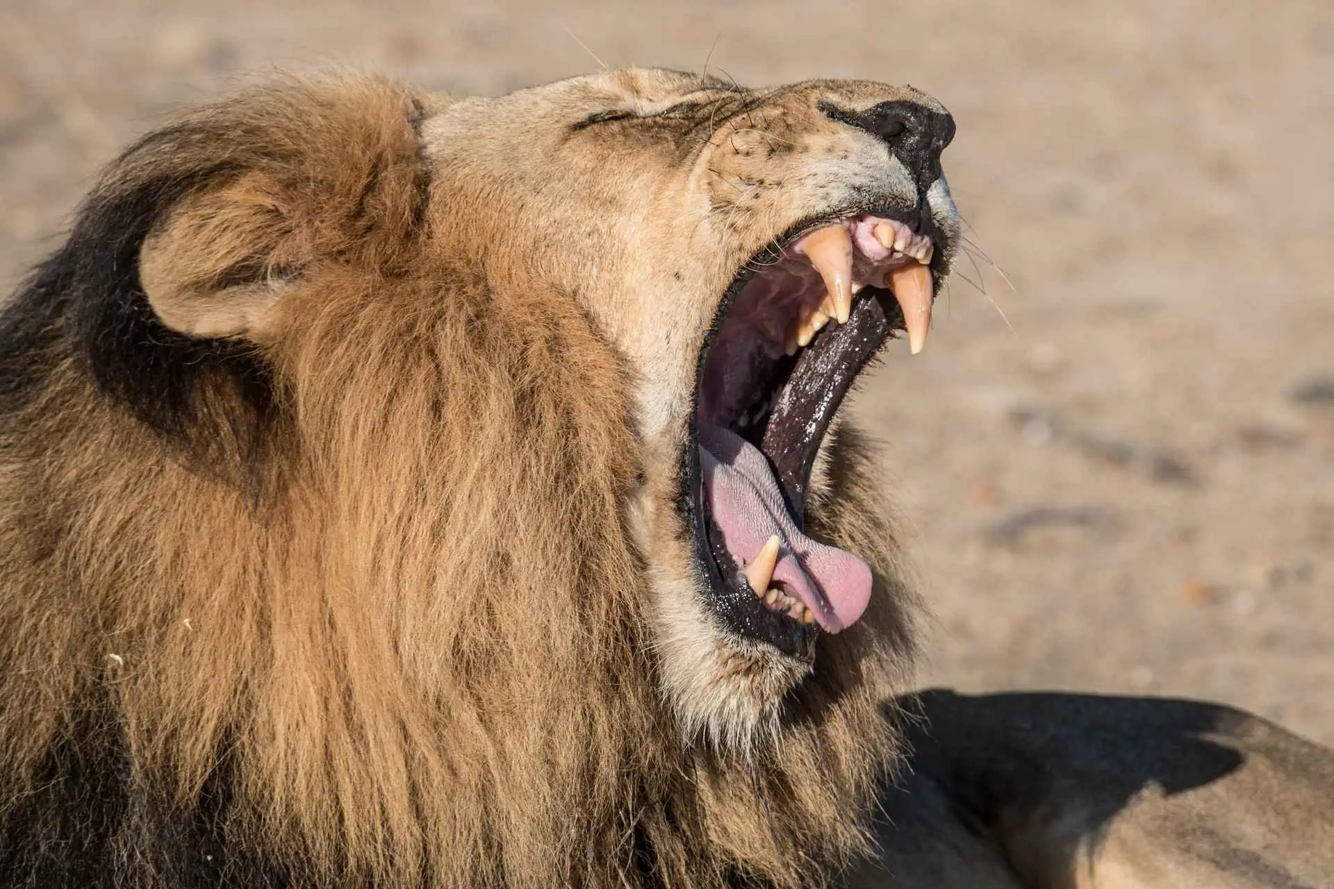 Braunschweig im Überblick